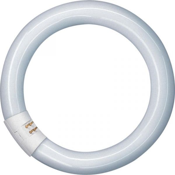 Osram L 40W/840 C G10Q - 014845