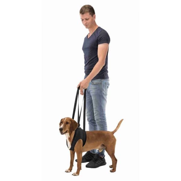 Trixie Peitoral de Reabilitação para Cão (apoio para Caminhar) L-xl
