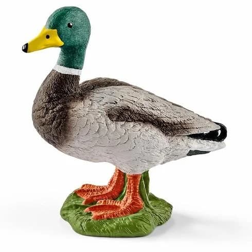 Schleich Farm World Pato Macho - 13824