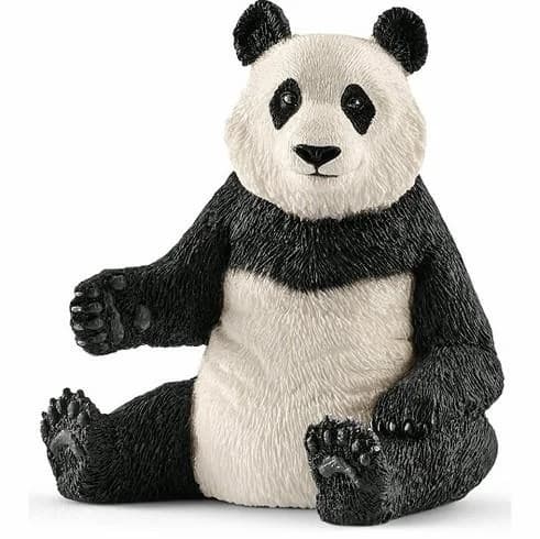 Panda Gigante, fêmea