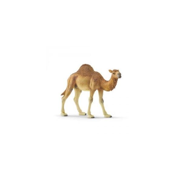 Schleich Wild Life Dromedário - 14832