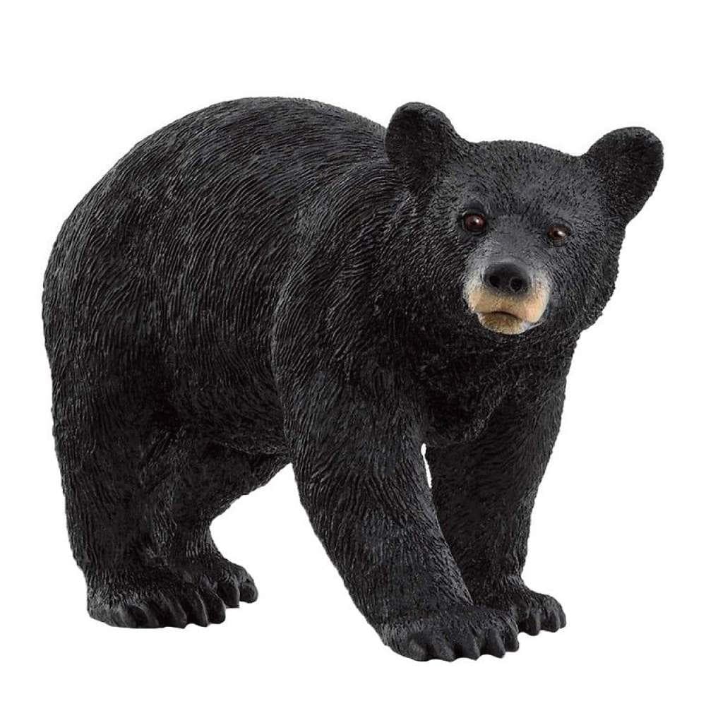 Schleich Wild Life Urso Negro