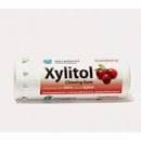 Xylitol Pastilha Elastica Mirtilo 30un