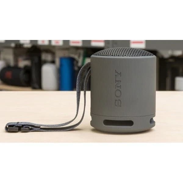 Coluna sem fios portátil SRSXB100