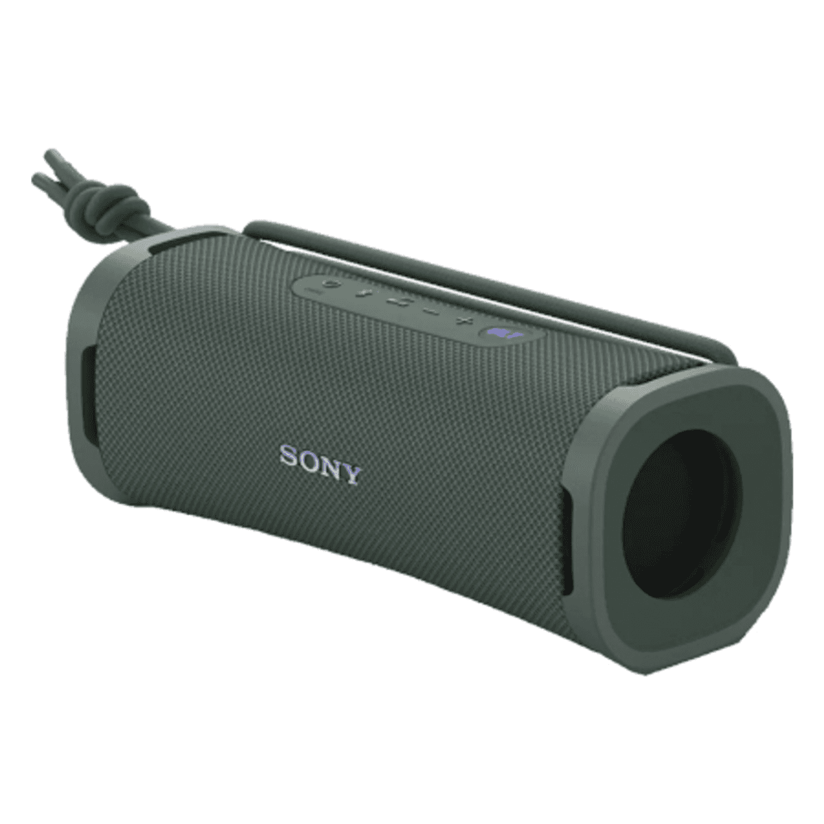 Sony ULT FIELD 1 Portátil Bluetooth Cinzento