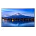 Sharp MultiSync P436 Plasma digital 108 cm (42.5") LCD 700 cd/m² 4K Ultra HD Preto 24/7