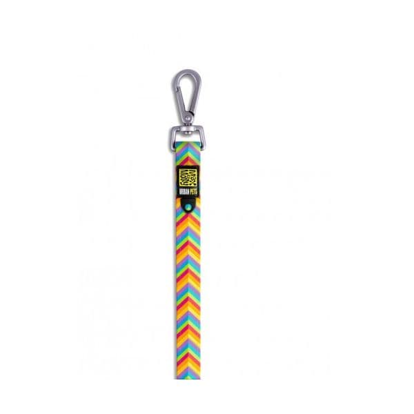 Max & Molly Trela Summertime M
