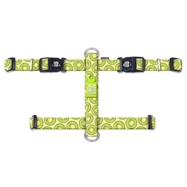 Max & Molly Peitoral Kiwi S