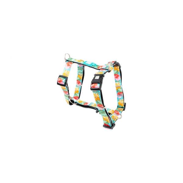 Max & Molly Peitoral Exotique M
