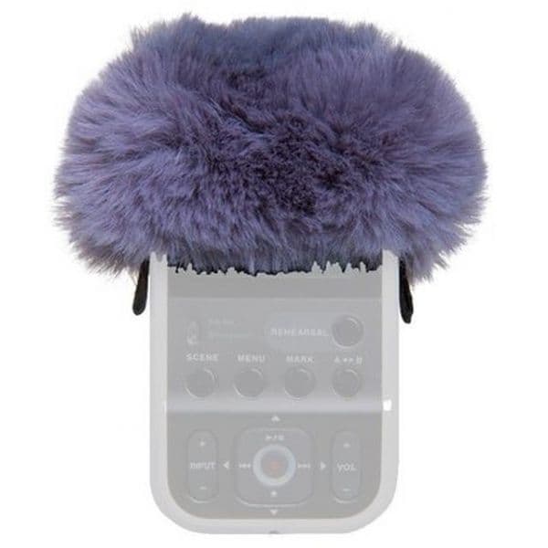 Roland R07-WS