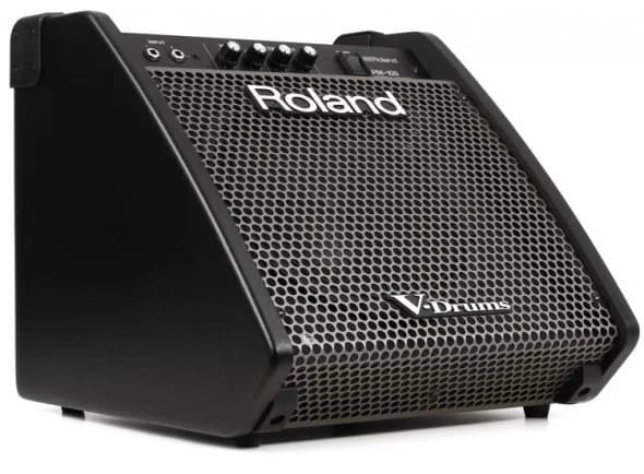 Roland PM-100