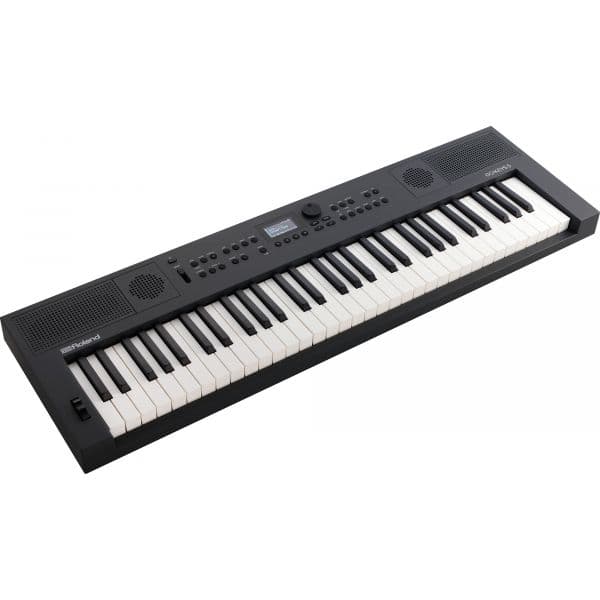 Roland Go:keys 5 Gt Graphite Teclado 1.154 Sons + 203 Ritmos Zen-core Ritmos Z-style