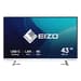 Monitor Eizo 42.5" FlexScan EV4340X-WT 4K 60Hz IPS USB-C Branco