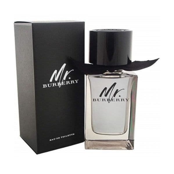 Burberry Mr. Burberry Man Eau de Toilette 100ml (Original)