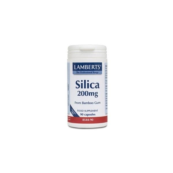 Lamberts Silicon 200 Mg 90 Comprimidos