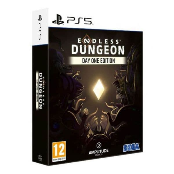 Endless Dungeon PS5