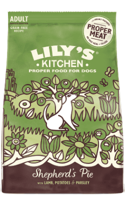Lily's Kitchen Adult Lamb 2,5Kg
