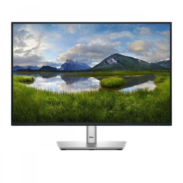 Monitor Dell P2425E 24.1" LED IPS FullHD 100Hz USB-C