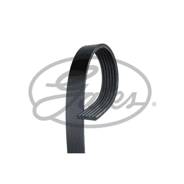 Gates Correia Trapezoidal Estriada - 6PK1005EST