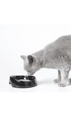 Bebedouro Whisker Water Savic