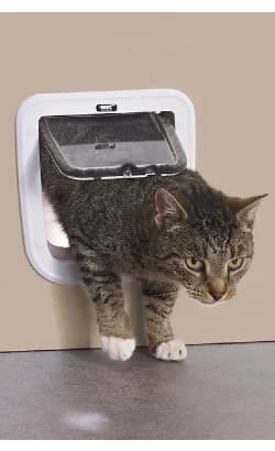 Porta Savic Access 4 Way Basic