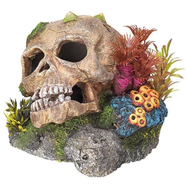 Vadigran Caveira com Corais Decorativa para Aquário