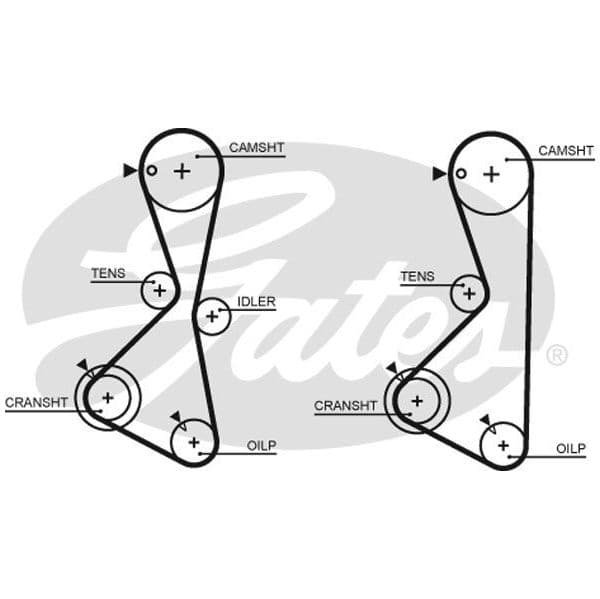 Gates Correia Dentada - 5373XS