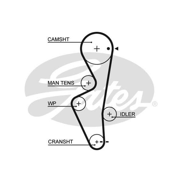 Gates Correia Dentada - 5430XS