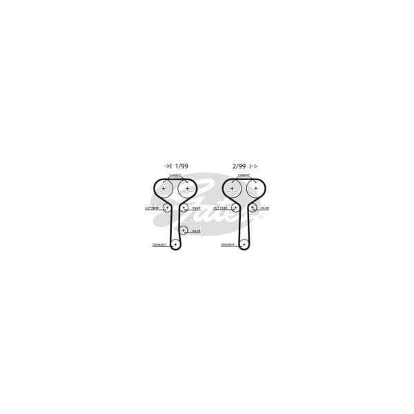 Gates 5508XS - Correia dentada - 5412571025903