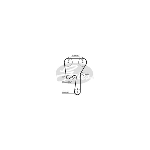 Gates 5509XS - Correia dentada - 5412571025910
