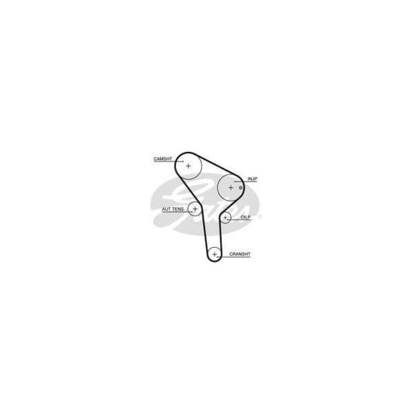 Gates 5564XS - Correia dentada - 5414465073670