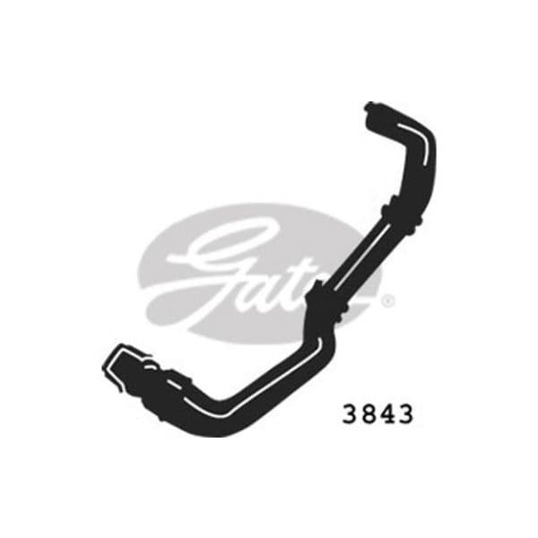 Gates 3843 - Tubo flexível do radiador - 5414465183072