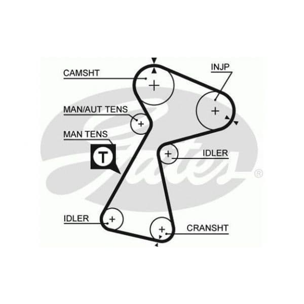 Gates K035561XS - Jogo de correias dentadas - 5414465294709