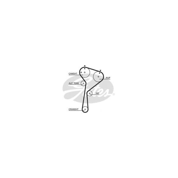 GATES - 5675XS - Correia dentada - 5414465383731