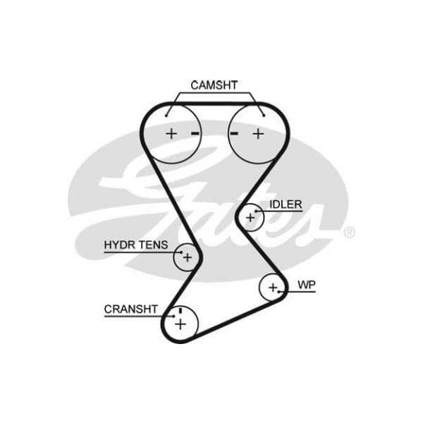 Gates T246 - Correia dentada - 5414465401312