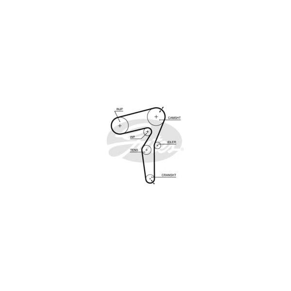GATES - 5650XS - Correia dentada - 5414465886317
