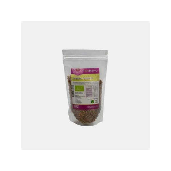 Biodharma Lentilha Castanha Bio 500g