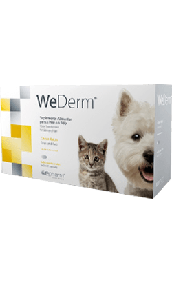 Wepharm WeDerm Cão & Gato 30ml