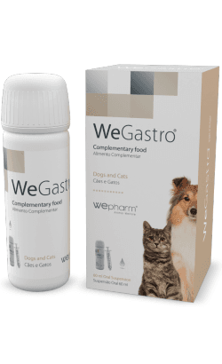 Wepharm WeGastro 60ml