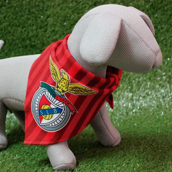 Lenço Oficial SL Benfica Classic 22,5cm