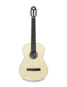 APC Luthier