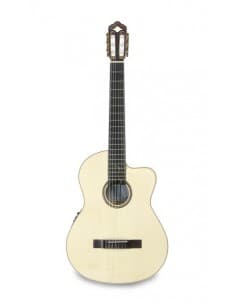 APC Luthier Gold