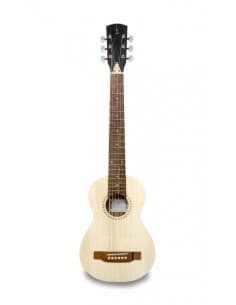 APC TR100 ST