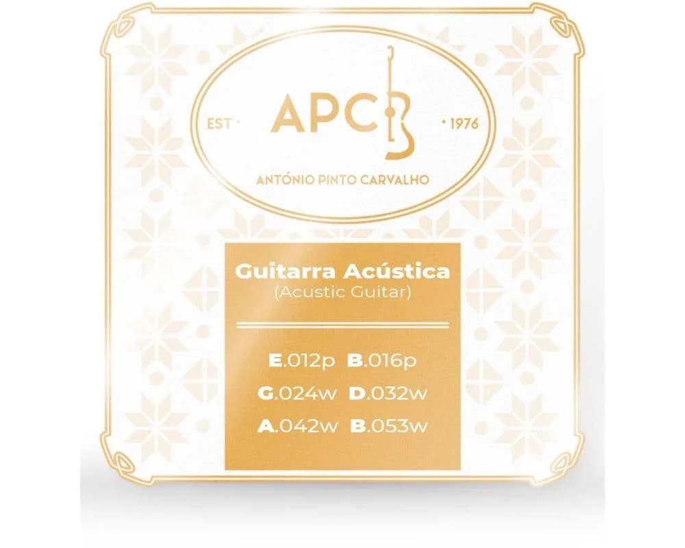 APC Cordas Guitarra Folk