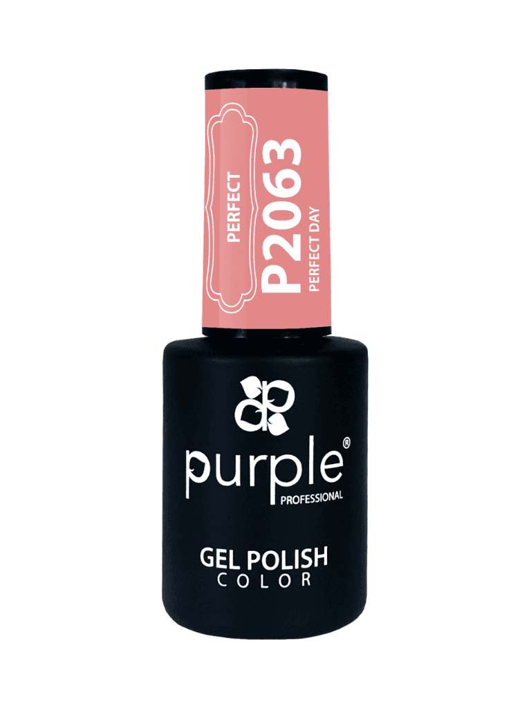 Purple Professional Gel Polish Color 2063 10Ml