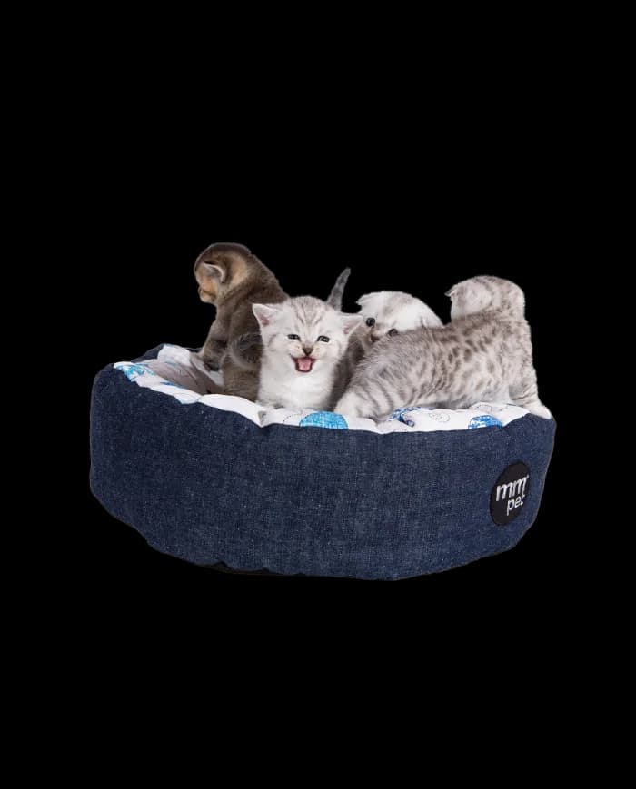 Cama Redonda SUSHI