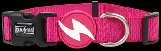 Dashi Coleira Rosa XS