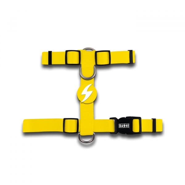 Dashi Peitoral Back-Harness Amarelo M