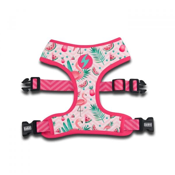 Dashi Peitoral Neo Mesh Flamingo L
