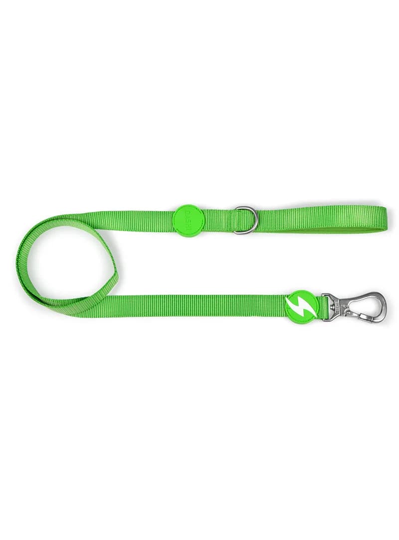 Dashi Trela Solid Green - Trela em nylon para cães